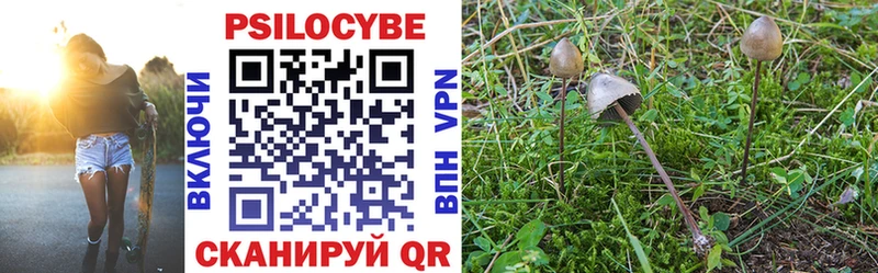 Псилоцибиновые грибы GOLDEN TEACHER  Купить  Коряжма 
